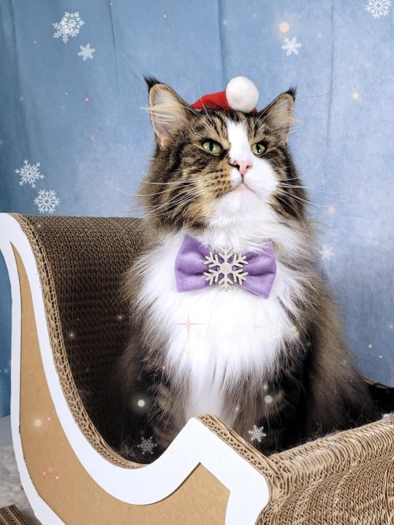 Christmas * Dog Bow * Cat Bow * Snowflake * Velvet * Glitter * silver * lilac * Love at frost sight
