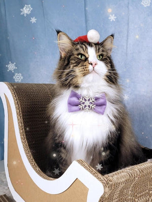 Christmas * Dog Bow * Cat Bow * Snowflake * Velvet * Glitter * silver * lilac * Love at frost sight