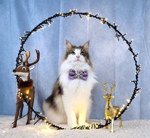 Christmas * Dog Bow * Cat Bow * Snowflake * Velvet * Glitter * silver * lilac * Love at frost sight