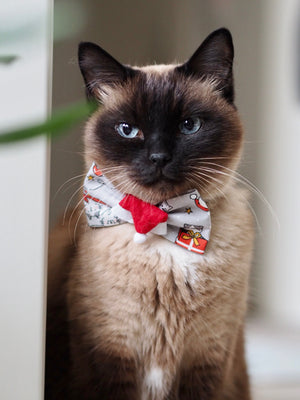 Christmas * Dog Bow * Cat Bow * grey * red * Purresents please!