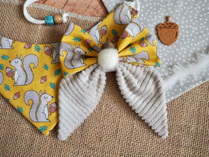 Hundehalstuch - Katzenhalstuch - Eichhörnchen - Nuts about you