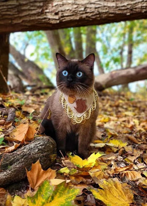 Autumn * Dog Bandana * Cat Bandana * Squirrel * brown * In the Woods