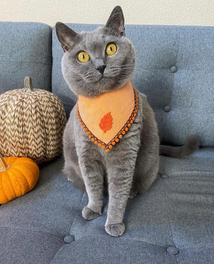 Autumn * Cat Bandana * Leaves * orange * brown * Pawtumn Vibes