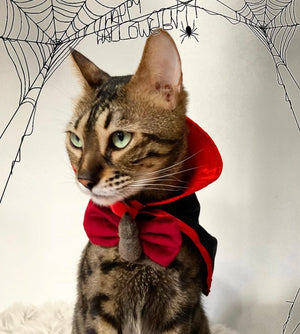 Halloween * Dog Bow * Cat Bow * mouse * red * velvet * Too cute to spook