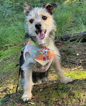 Autumn * Dog Bandana * Cat Bandana * green * Fox it up!