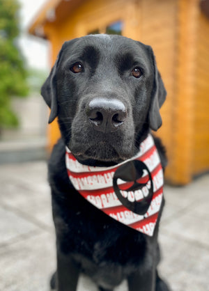 Halloween * Dog Bandana * Cat Bandana * black * red * blood * This is IT!