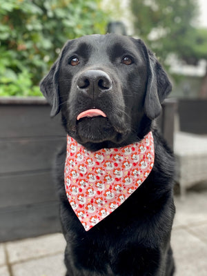 Halloween * Dog Bandana * Cat Bandana * black * red * blood * This is IT!