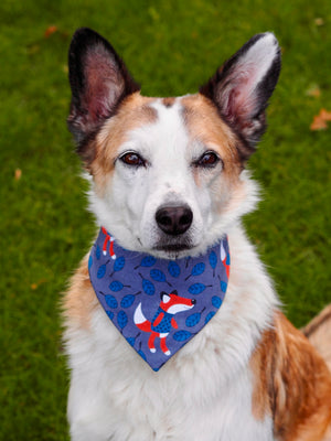 Autumn * Dog Bandana * Cat Bandana * Fox * Leaves * blue * Jeans * Fur-tastic Fall