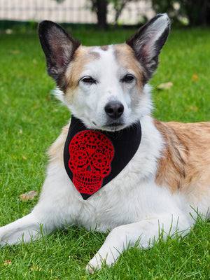 Halloween * Dog Bandana * Cat Bandana * black * red * skull * Red to the bone