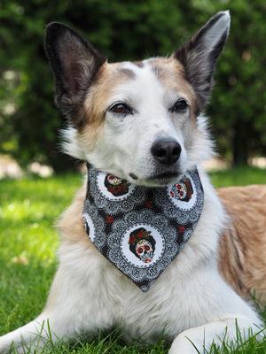 Halloween * Dog Bandana * Cat Bandana * black * red * skull * Red to the bone