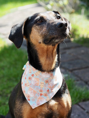 Autumn * Dog Bandana * Cat Bandana * Flowers * Leaves * Van * Cord * Autumn Trip