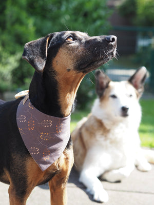 Autumn * Dog Bandana * Cat Bandana * Flowers * Leaves * Van * Cord * Autumn Trip