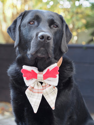 Christmas * Dog Bow * Cat Bow * checked * red * Antler * Deer Cuteness