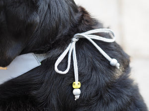 Winter * Dog Bandana * Cat Bandana * reflective * neon * yellow * grey * Safety first