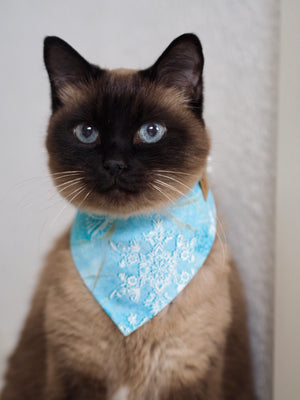 Christmas * Dog Bandana * Cat Bandana * Stars * gold * turquoise * Crystal Cold