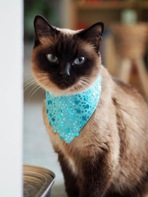 Christmas * Dog Bandana * Cat Bandana * Sequins * turquoise * Ice Ice Baby