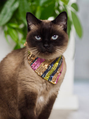 New Year's Eve * Dog Bandana * Cat Bandana * Sequins * Sparkle On