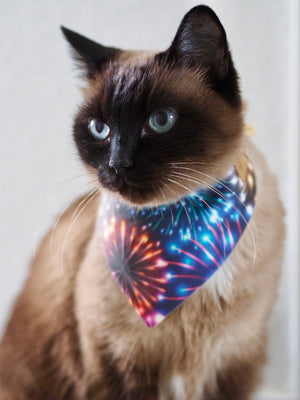 New Year's Eve * Dog Bandana * Cat Bandana * Firework * Light it up!