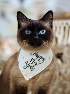 New Year's Eve * Dog Bandana * Cat Bandana * Firework * Light it up!