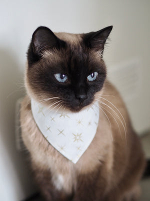 Christmas * Dog Bandana * Cat Bandana * Stars * gold * turquoise * Crystal Cold