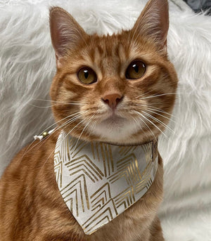 Winter * Dog Bandana * Cat Bandana * Glitter * gold * Ready, set, glow!