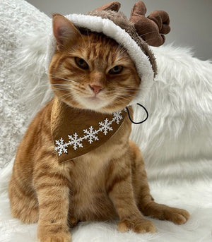 Winter * Dog Bandana * Cat Bandana * Glitter * gold * Ready, set, glow!