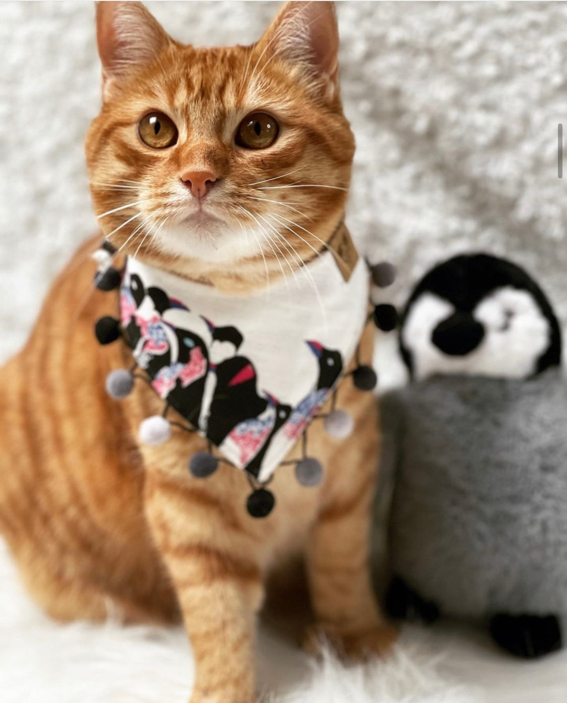Winter * Dog Bandana * Cat Bandana * Penguin * Cord * Antarctica