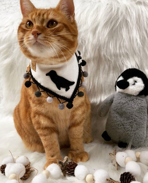 Winter * Dog Bandana * Cat Bandana * Penguin * Cord * Antarctica