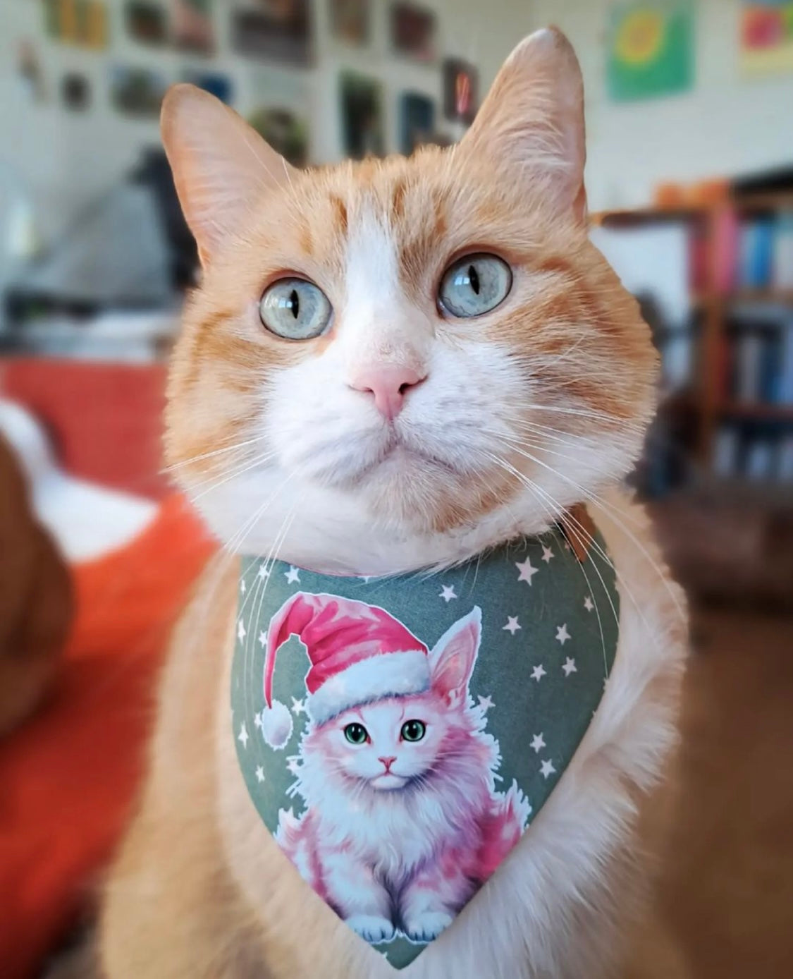 Christmas * Dog Bandana * Cat Bandana * Stars * Christmas Tree * green * Pink Paws