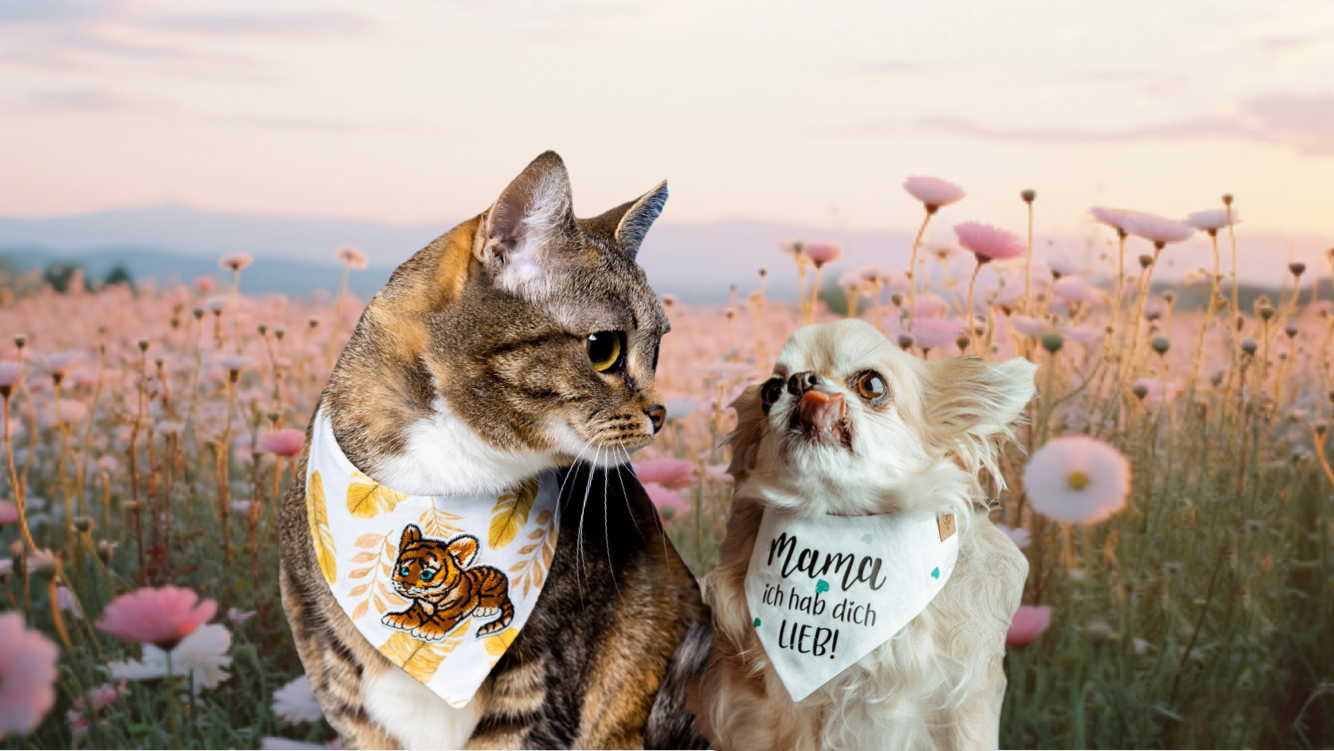 Hundehalstuch und Katzenhalstuch