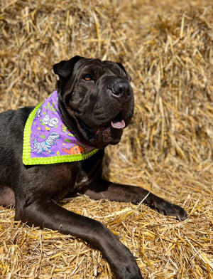 Halloween * Dog Bandana * Cat Bandana * Deadly Dinosaurs