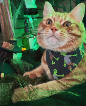 Halloween * Dog Bandana * Cat Bandana * neon * Zombies * green * black * Don't mess with the dead!