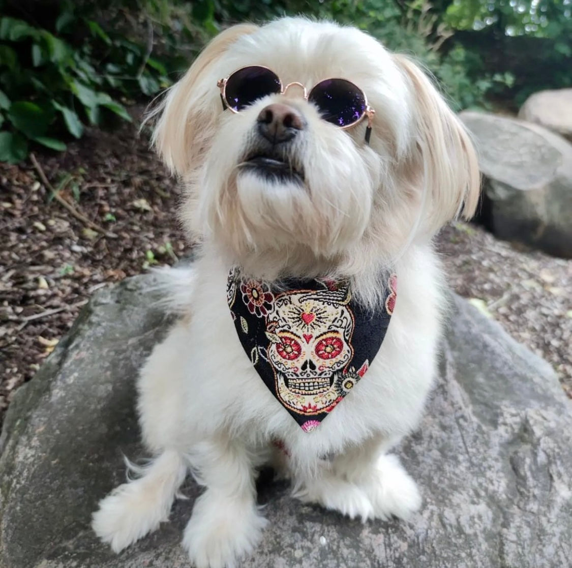 Grateful dead dog bandana hot sale
