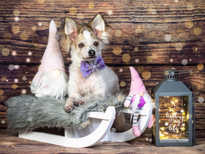 Christmas * Dog Bow * Cat Bow * Snowflake * Velvet * Glitter * silver * lilac * Love at frost sight