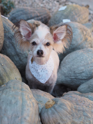 Halloween * Dog Bandana * Cat Bandana * Ghost * stars * silver * Un-Boo-Lievable