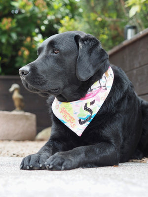 Schwarzer Labrador trägt weißes Hundehalstuch mit buntem Muster