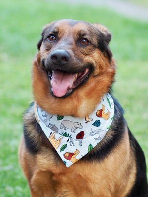 Hundemodel trägt hellblaues Hundehalstuch mit Tiermuster