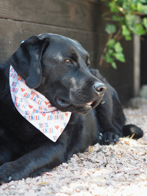 Schwarzer Labrador trägt handgemachtes Hundehalstuch mit adorable Aufdruck