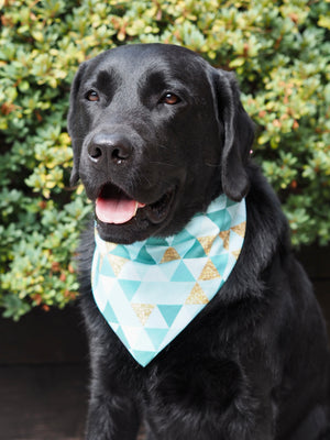 Schwarzer Labrador trägt handgemachtes Hundehalstuch in türkis und gold
