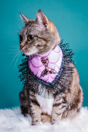Katzenmodel trägt lila Katzenhalstuch mit Schwimmflosse und schwarzer Tüllborte beim Fotoshooting