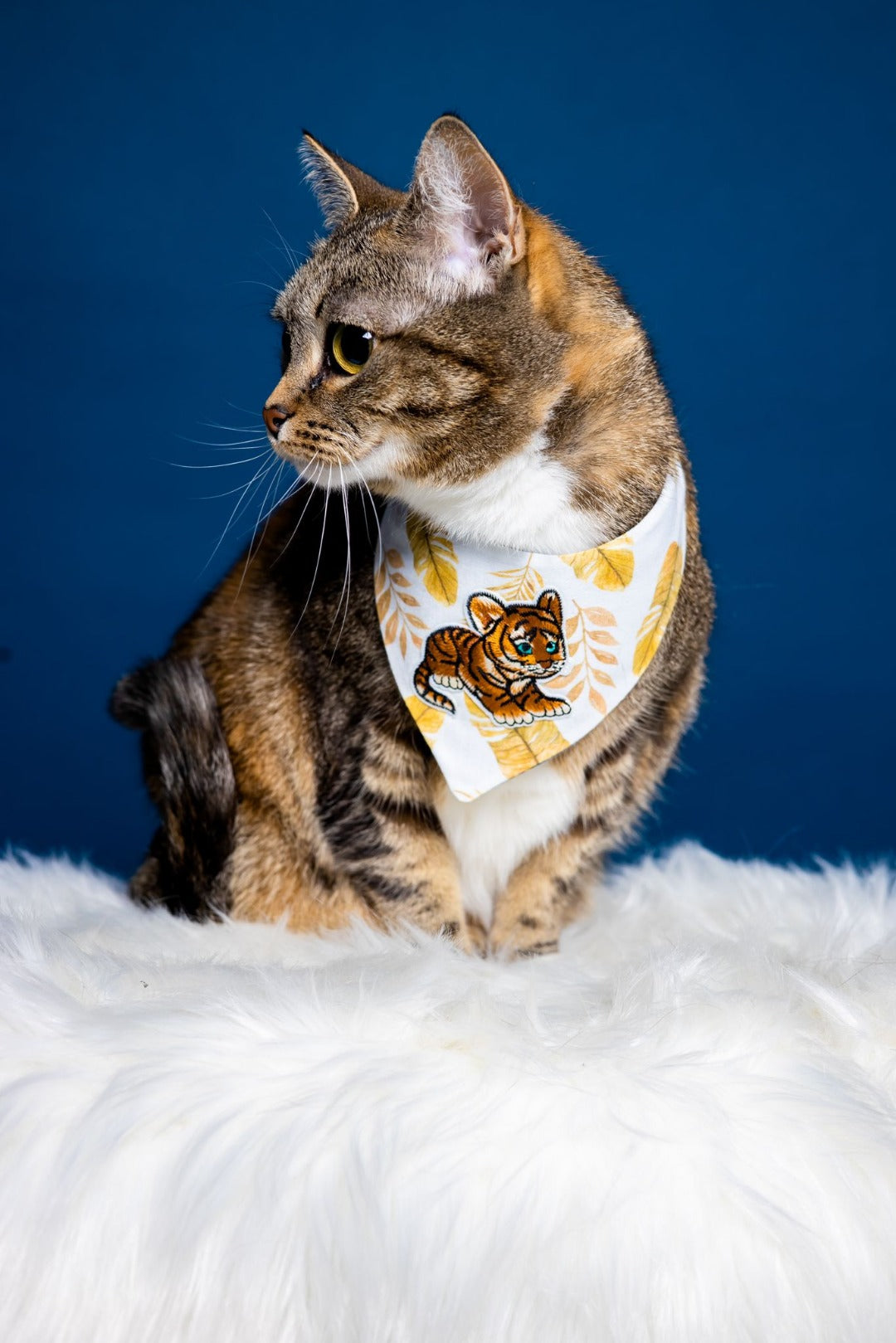 Katzenmodel trägt weißes Katzenhalstuch mit Tiger und Blättern zum Fotoshooting