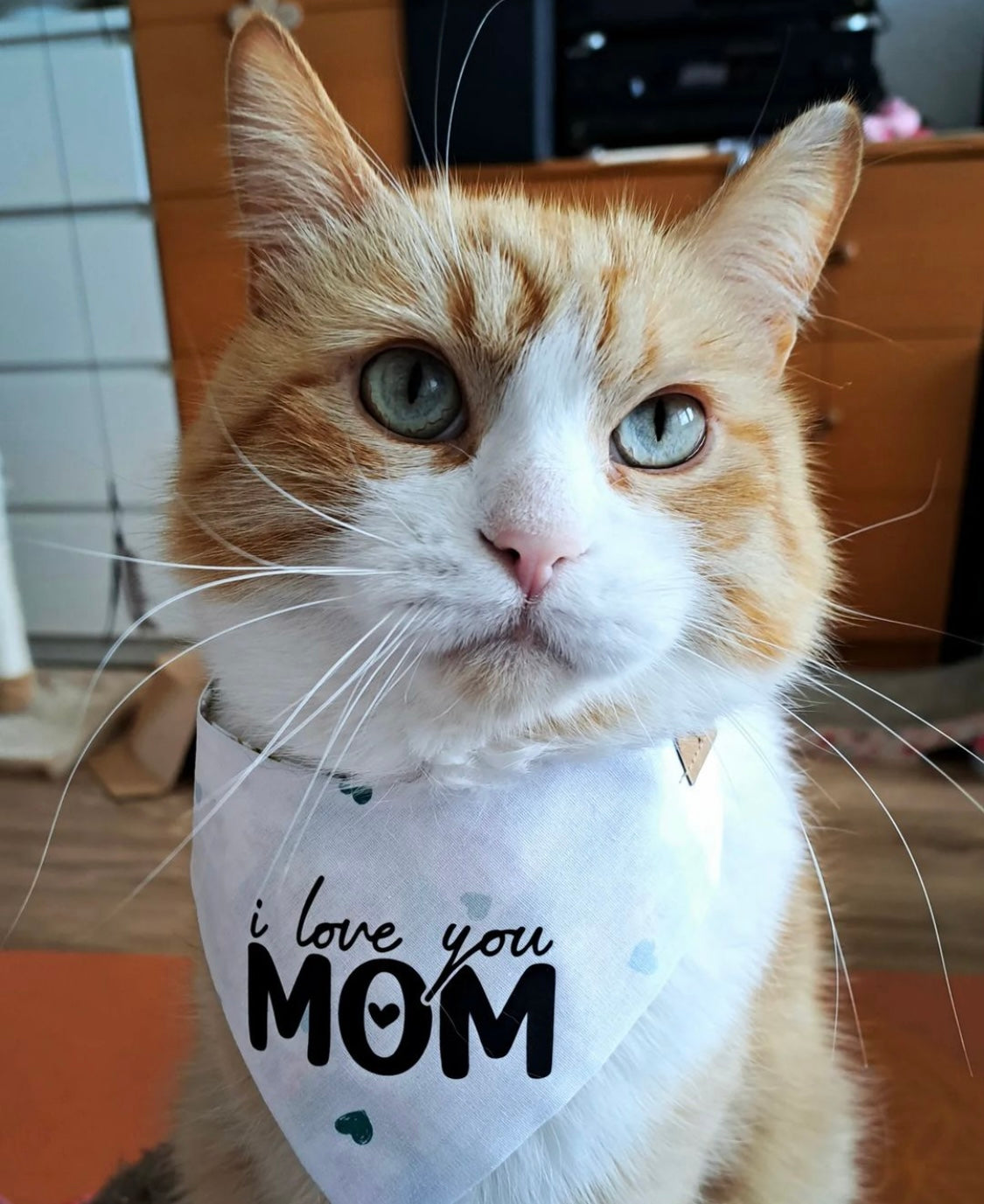 Katze mit handgemachtem Katzenhalstuch zum Muttertag und Aufdruck I love you Mom