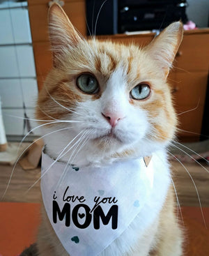 Katze mit handgemachtem Katzenhalstuch zum Muttertag und Aufdruck I love you Mom