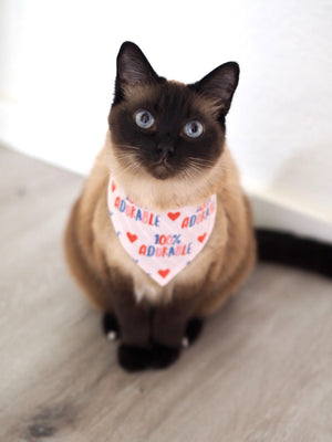 Siamkatze trägt handgemachtes Katzenhalstuch mit adorable Aufdruck