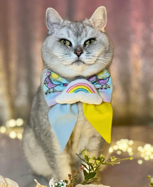 Katze trägt bunte Katzenschleife mit Dinos und Regenbogen beim Fotoshooting