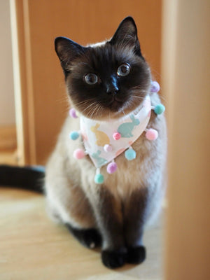 Easter * Dog Bandana * Cat Bandana * Bunny * Too hip to hop