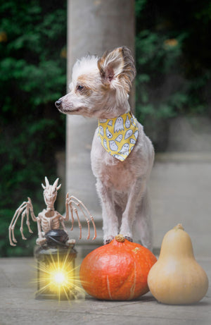 Halloween * Dog Bandana * Cat Bandana * Ghost * stars * silver * Un-Boo-Lievable