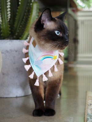 Cat Bandana * Kittyblush
