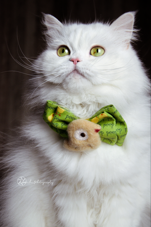 Easter * Dog Bow * Cat Bow * green * Chick me out!