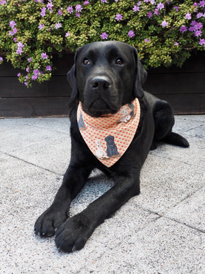 Dog Bandana * Labradorable